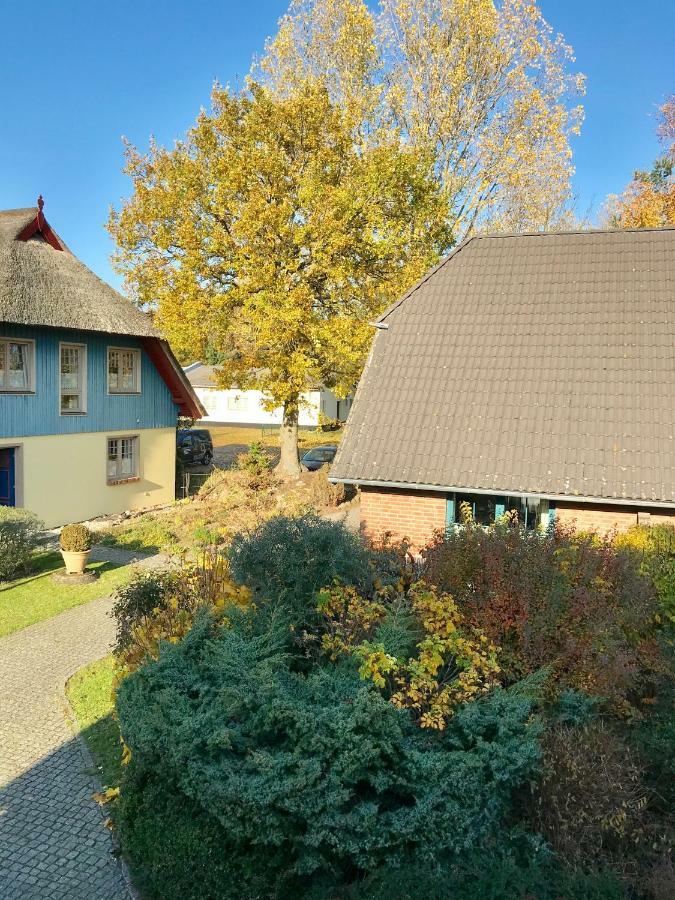 "Steuerbord" By Ferienhaus Strandgut Born Exterior foto